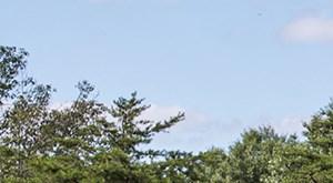 Central Park Spotsylvania Restaurants Central Park Spotsylvania Restaurants